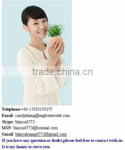 liquid tomato/ honey /sauce pouch packing machine