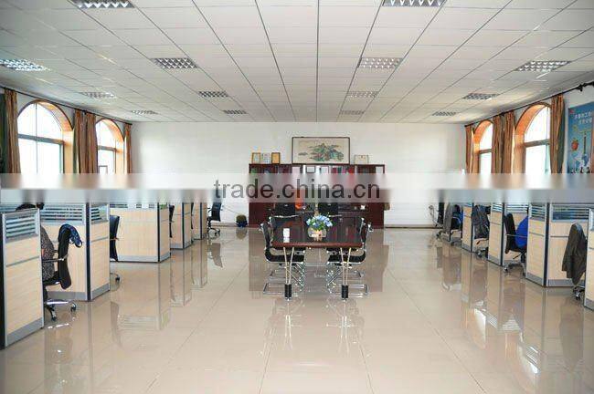 Meat Mincer/Meat Mince Machine Made by China Professional Manufacturer