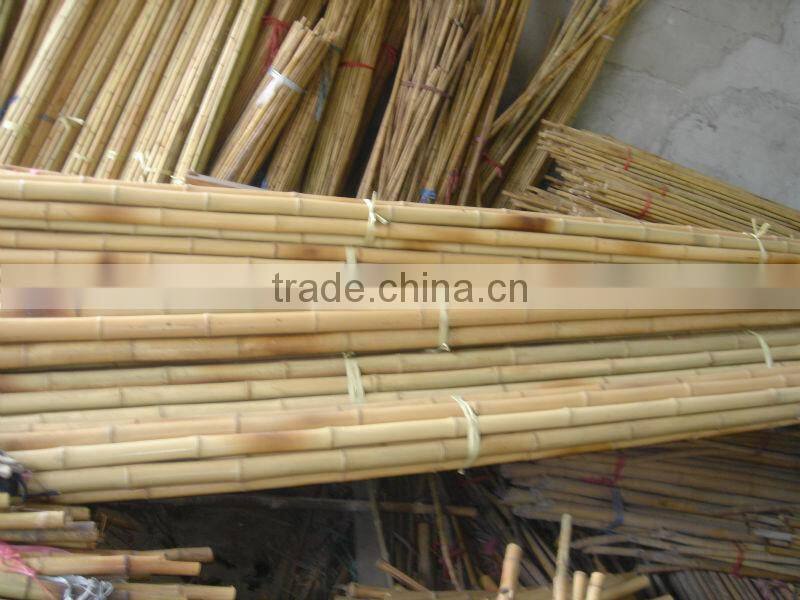Raw Bamboo Cane Export