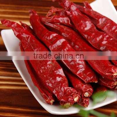 Chili Multiple layer continuous type mesh belt dryer