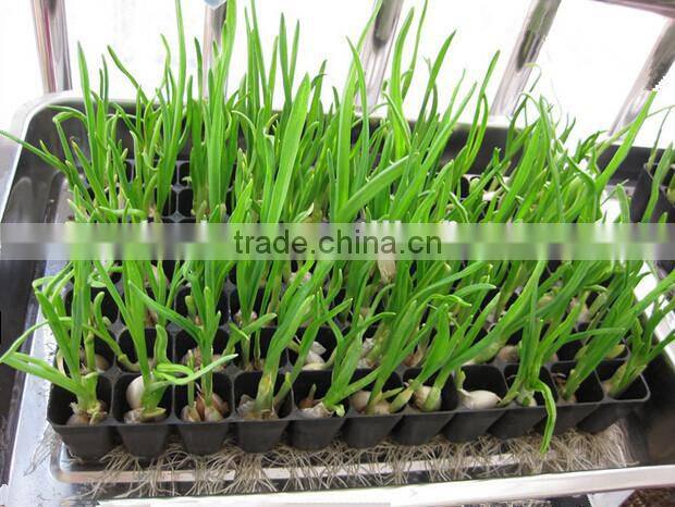 Custom PS Reusable Plastic Plant Seed Starting Grow Trays for Propagation