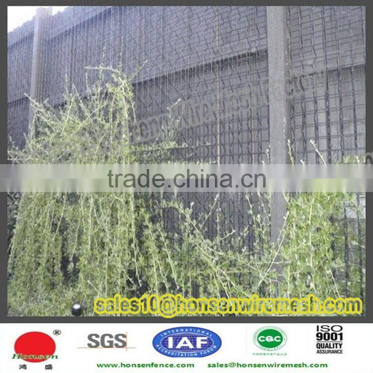 China supplier!!Black Powder coated 3D welded wire mesh panel