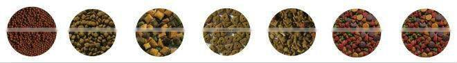 High quality fish food machine/dog food machinery/Dog Food Machine +86 15553172778