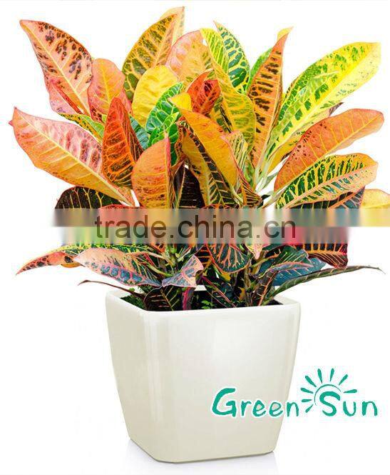 Customized garden decorating plant pot plastic flower pots wholesale