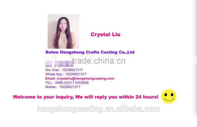 Botou Hengsheng 8KW Eco-friendly Insert Cast Iron Wood Burner Stoves