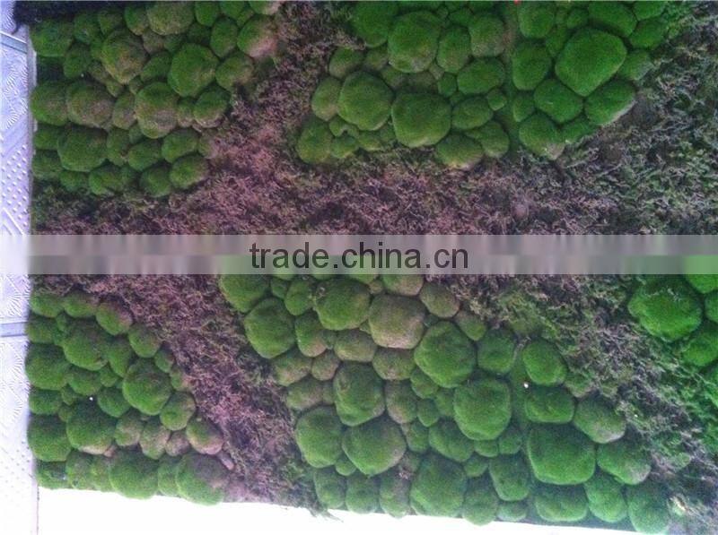 Home garden china decoration 100cmx200cm black mat artificial plant holland moss carpet EZMD03 0209