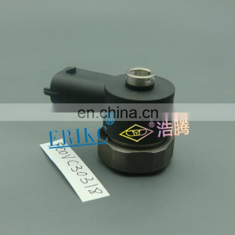 ERIKC control solenoid valve FOOVC30318 , FooV C30 318 auto oil engine solenoid valves F OOV C30 318 for 110 series