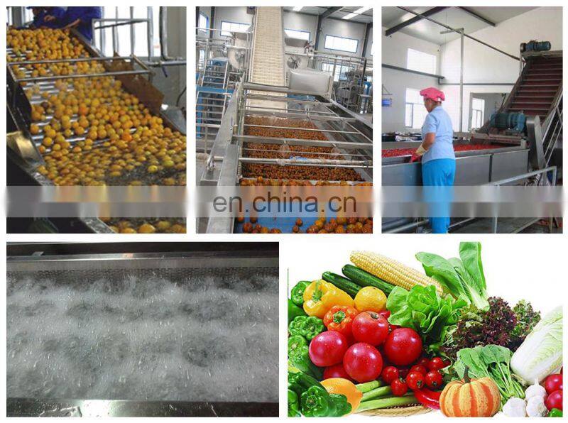 Automatic dried lemon powder making grinding milling machine dry apple lime baobab breadfruit flour grinder mill price for sale