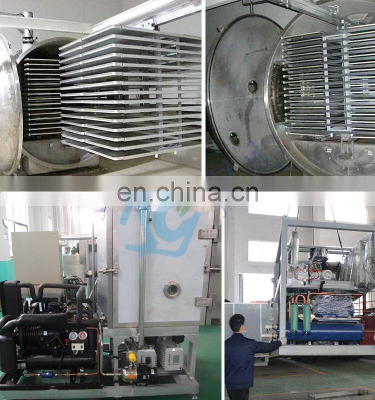 Chinese factory industrial freeze dryer meat drying refrigerator quick freeze machine/fresh milk freeze