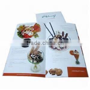 Offset Printing Booklet Brochure Printing