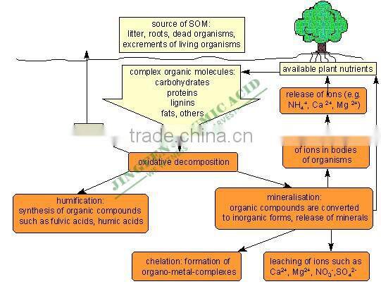 Agriculture Grade Organic Foliar Fertilizer Mineral Fulvic Acid