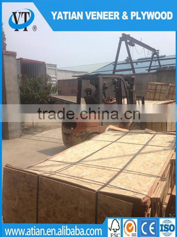 Decorative AB grade poplar wood face veneer to Egypt market 0.3mm factory
