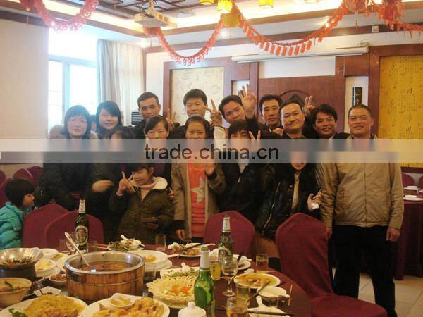 New product active noise cancelling earphone