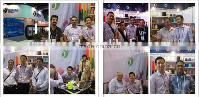 210D/3 High Tenacity Nylon Bonded Thread for Leather Shoes