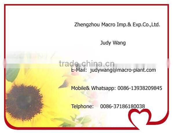 Economic Wheat Puff Snack Machine/ Puffed Rice Machine