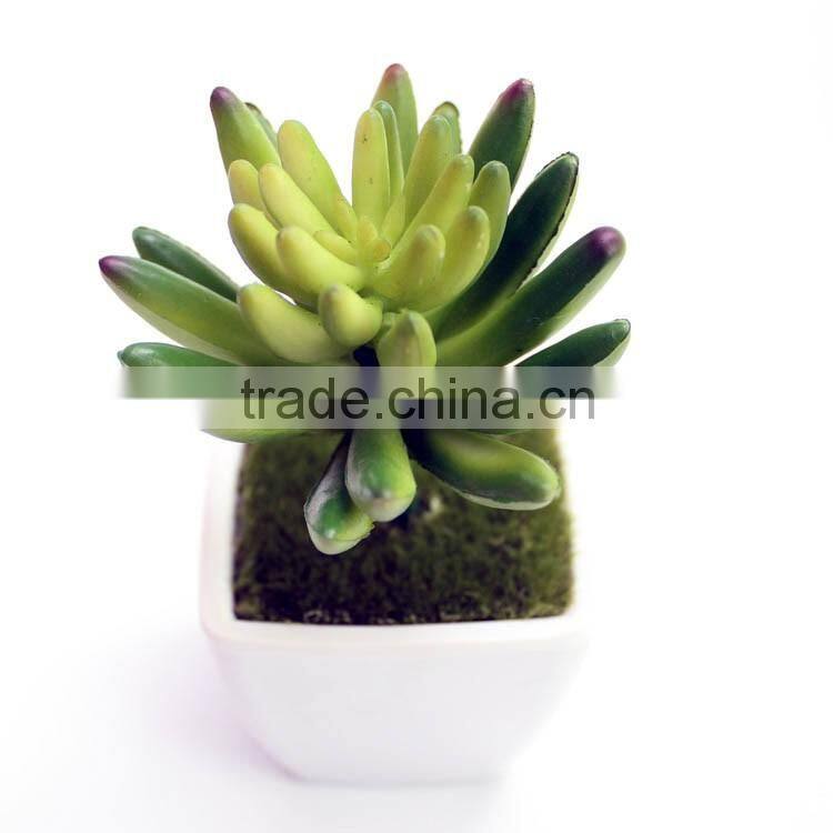 Wholesale indoor home decoration artificial plant with cement flower pot