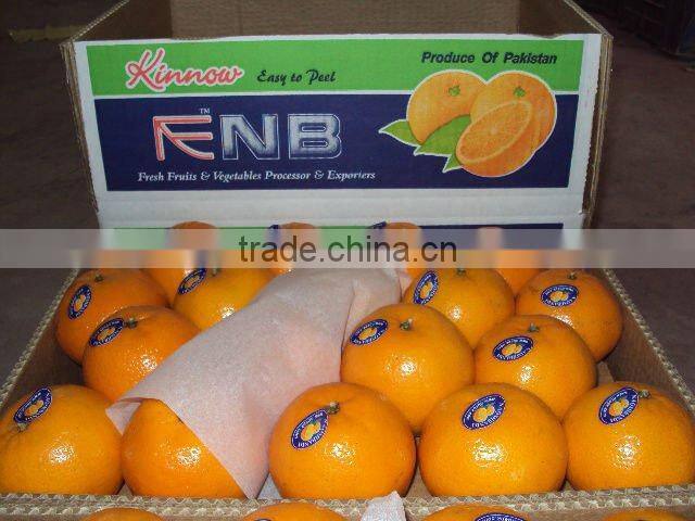 Kinnow Mandarin Tangerine Orange Citrus fruit from Pakistan