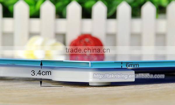 Simple Model Electronic Weighing Scale