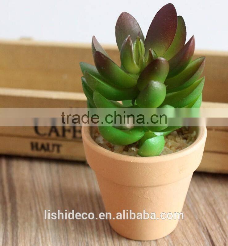 High Quality Artificial Succulent Plants Export Succulent Plants