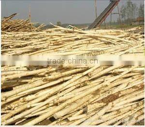 YPM60 wood log debarking machine