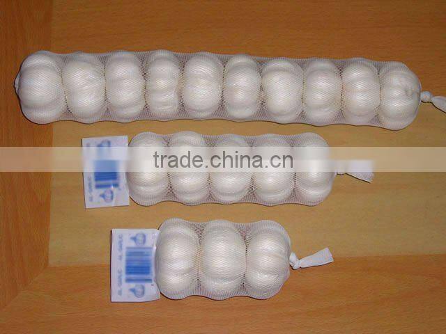 2012 crop normal white garlic in carton packing