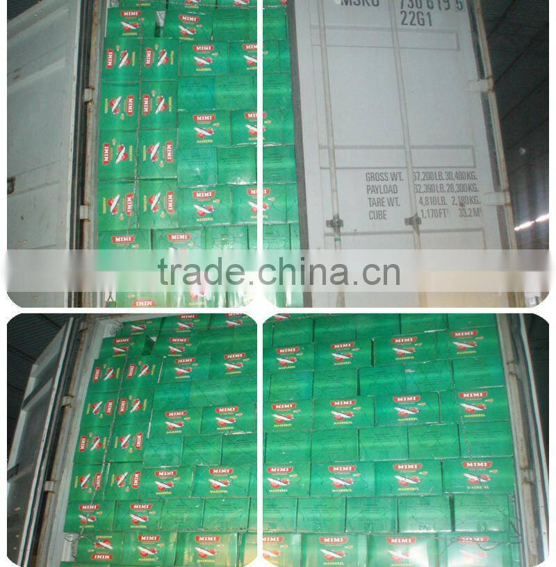 mackerel fresh fish in tomato sauce