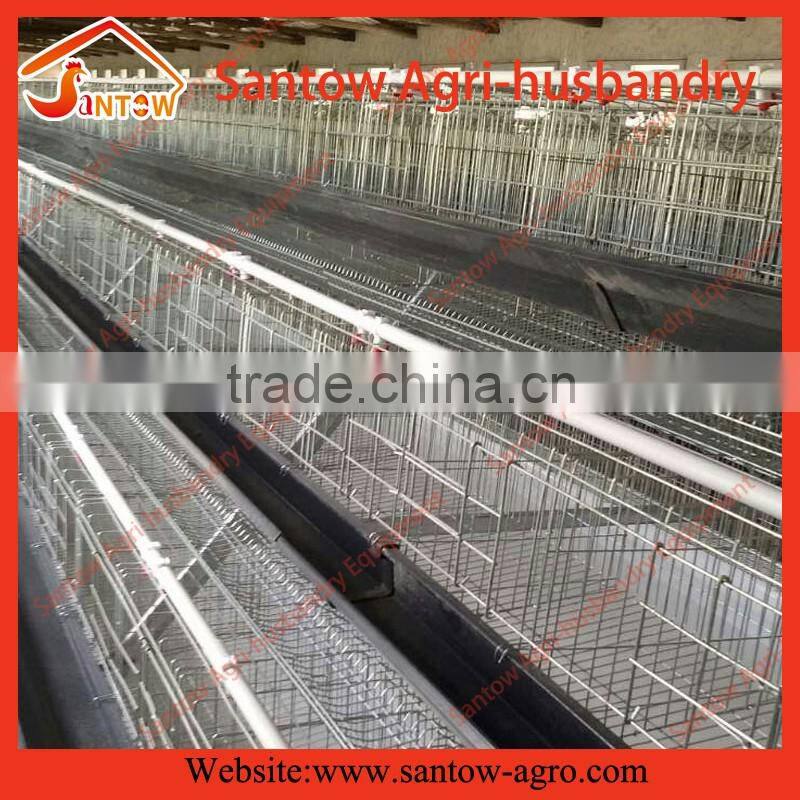 Hot Galvanized Automatic Battery Cage for Laying Hens