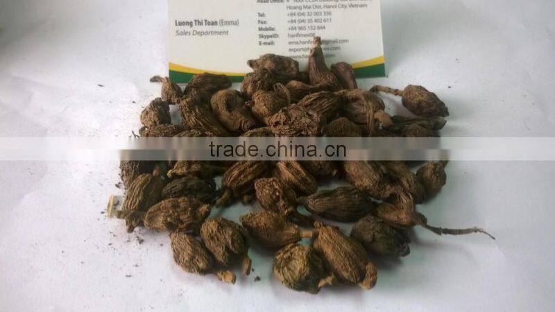 Vietnam Dried Style BLACK CARDAMOM Exporter (Skype: hanfimex08)