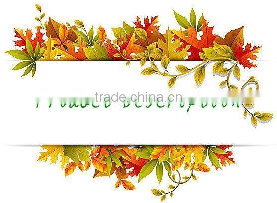 High Efficiency Roller Type Charcoal Briquette Making Machine with Competitive Price