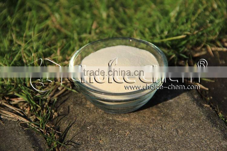 food grade xanthan gum manufacturer