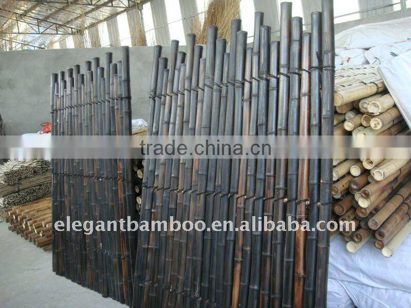 bamboo backyard fence