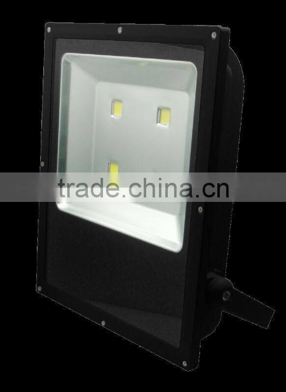 indoor outdoor lighting led flood light with meanwell driver