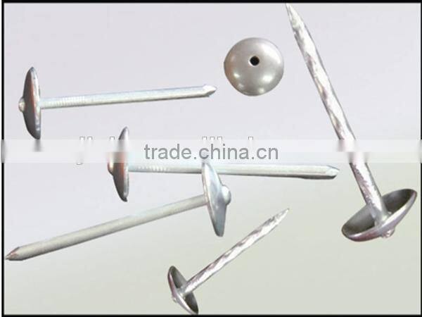 Good performance umbrella head roofing nails making machine from China