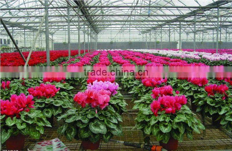 Large Multi-span fiberglass commercial greenhouse,garden greenhouse,flower greenhouses