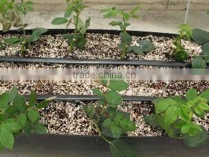 Dripping arrow system