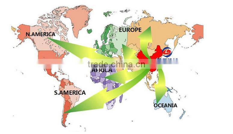 Hot selling Automatic fly ash brick making machine Road brick machine from Lantian made in China