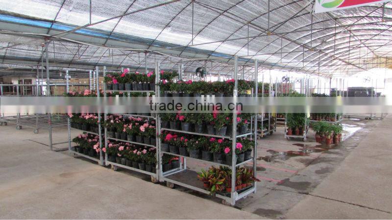 A22 Danish flower&plant display trolley carts