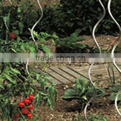 tomato spiral wire rod support