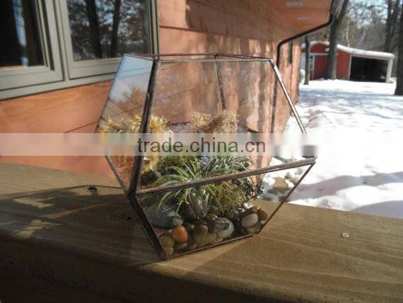 Simple clear Glass Planter Terrarium