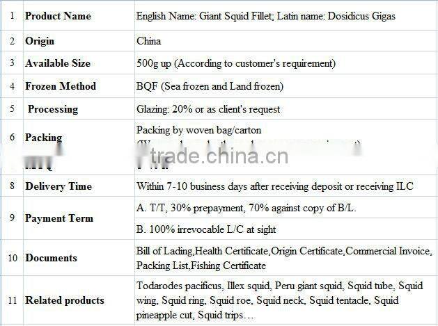 frozen squid fillet