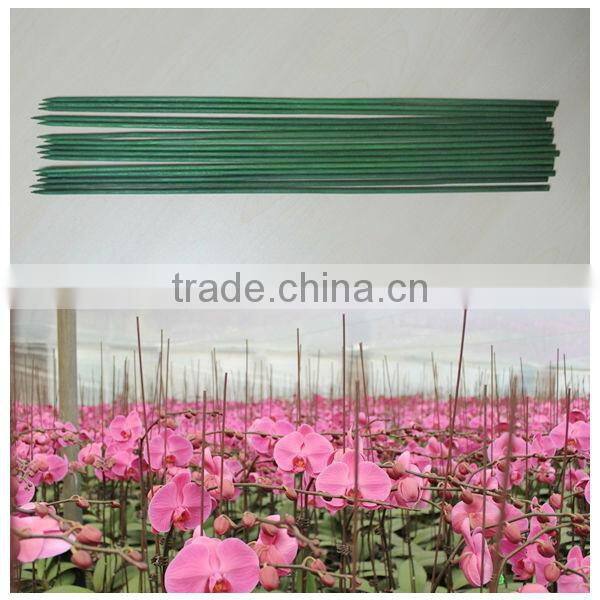Wholesale bamboo flower sticks for orchid