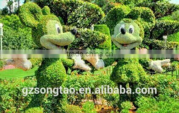 2015 latest designs wholesale all types of ornamental plants for sale at low price