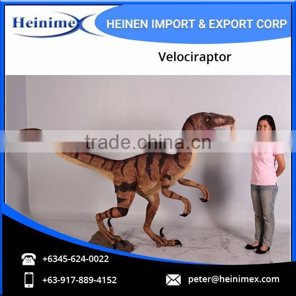Realistic Dinosaur Velociraptor for Sale
