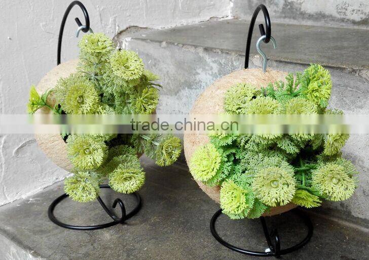 Ex-fty most affordable coconut box/storage container for green plant