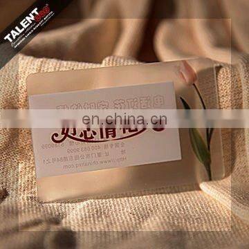 Custom Private Design Promotion Plastic Pvc Business Vip Id Card