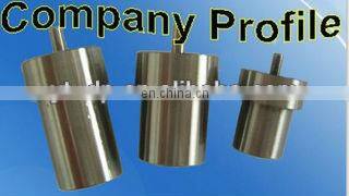 YT Diesel Engine Fuel Pump Element