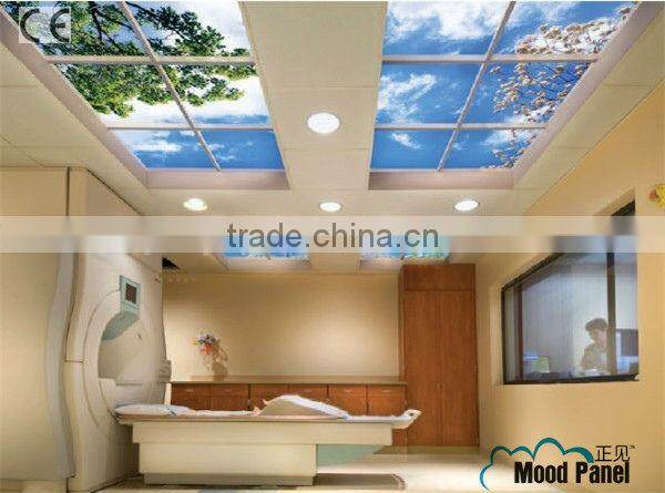 Japanese style sakura sky ceiling panel light