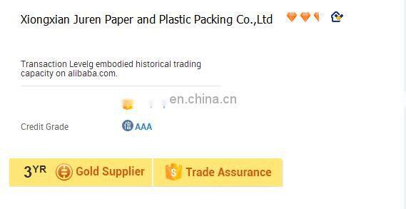 Custom Printing Flexible Facial Mask Packaging Bag