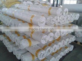 Water Proof Membrane TPO with Superior Durability