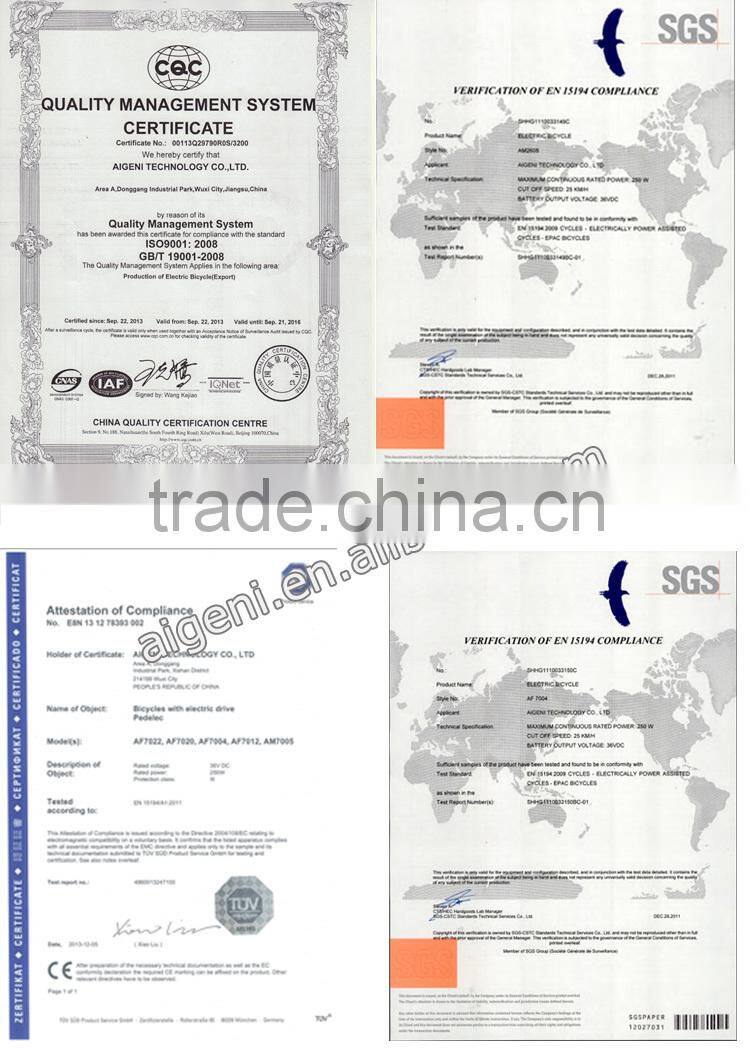 Classical Tektro disc brake electric bike